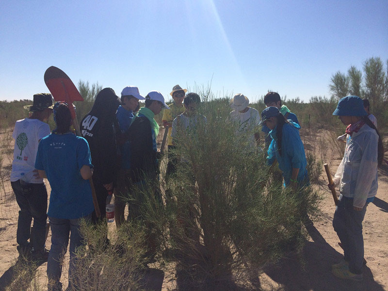 ������Ҫ��һ���ļ��ɺͽ����ͬ�W���_ʼ������һƬ�����ַ��ز����^�m(x��)�����[�ص��󶴡�