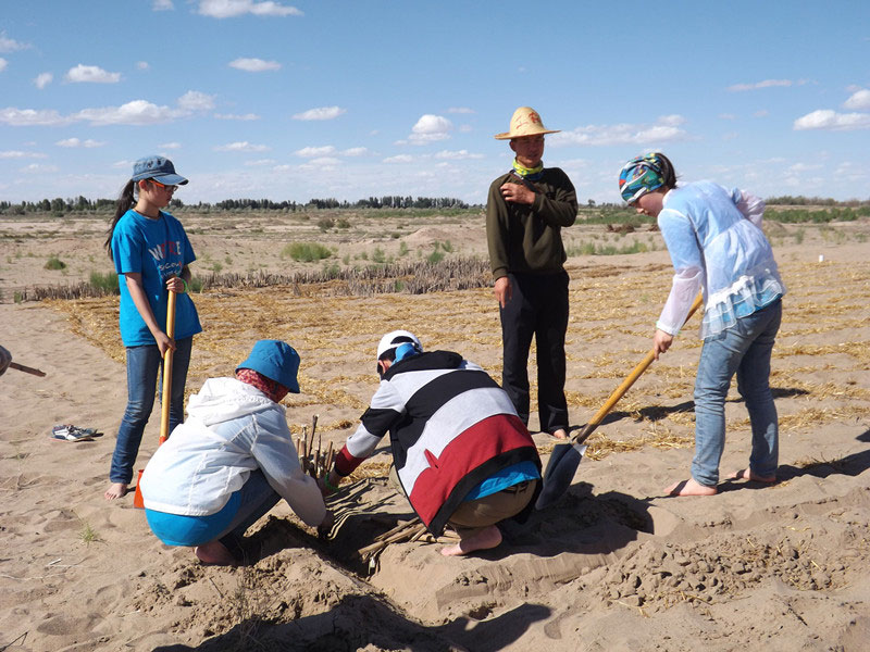 �@�N1.5��Ҋ�������ݸ��ӣ���ɳЧ����������^4��5���͕��L(f��ng)�g��������Ҫ�����a����