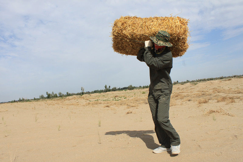 �F(tu��n)�T���i�������������ϳ����������������؟(z��)����