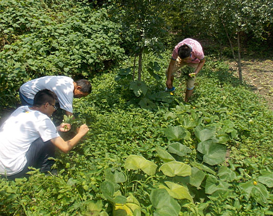 �ڶ������(du��)�T���_ʼ�������B(t��i)�r(n��ng)��(ch��ng)�w�(y��n)�r(n��ng)�����������ժ����