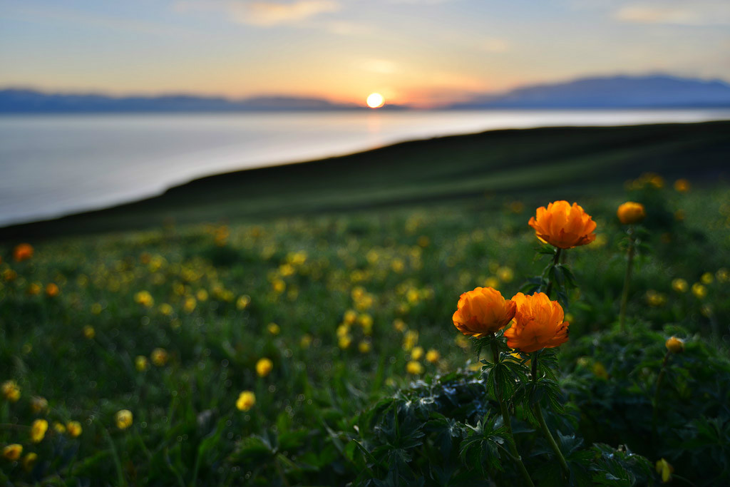 ���(hu��)�����l(xi��ng)�ĸ����