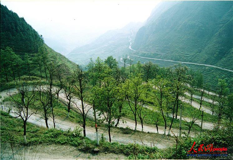 ��¡��24���ա�֮������ꐁ���?j��n)zӰ��