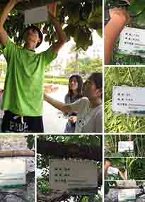 �K���r(n��ng)�W(xu��)Ժ�O(sh��)ӋУ�@ֲ����Ƭ�������K�r(n��ng)�Gɫ���}