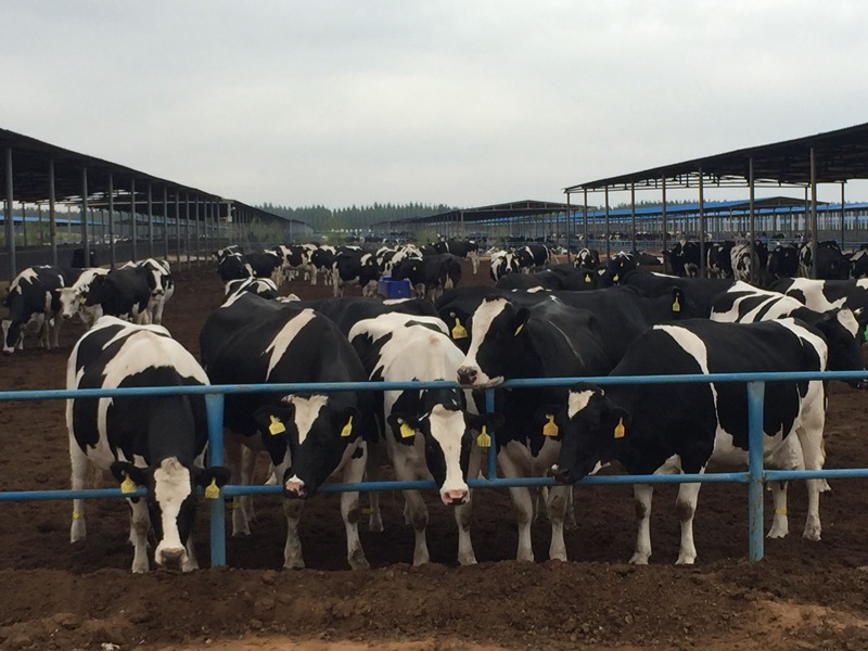 ���w��ɳĮ�ｨ�O(sh��)����ţ����