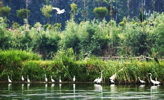 ͯԒ�ϼң���������Ԋ�����Ϙ���f����