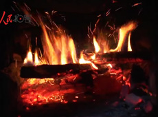 �t��t����~����������ʳ���ρ�