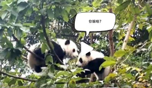 �L�L��̫�ɐ�(��i)����С��ȫ�̡���ĸЦ����