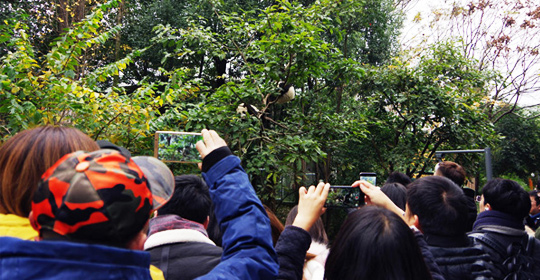 �@�����ӵ������ɶ����W(w��ng)�j(lu��)���ˁ�(l��i)�c(di��n)ٝ