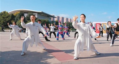 以拳會(huì)友，兩岸師生共探太極文化