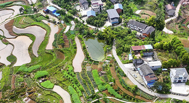 重慶：梯田美如畫